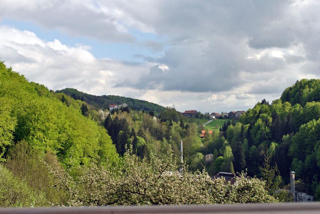 Fewo Radi An Der Buchberger Leite Apartment Hohenau Exterior photo